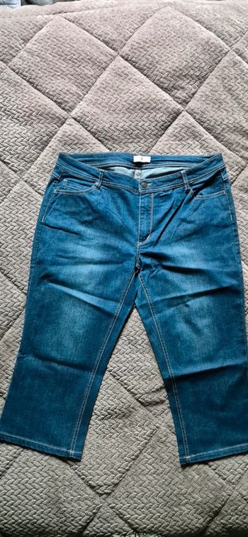 Pantacourt la redoute 46