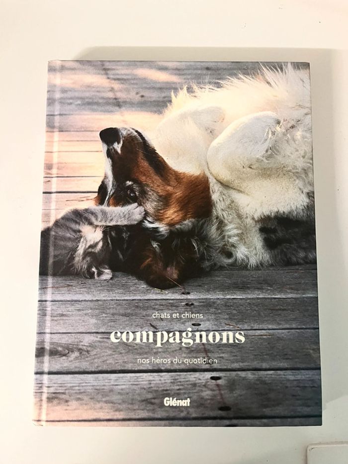 Livres Chats et chiens nos héros du quotidien