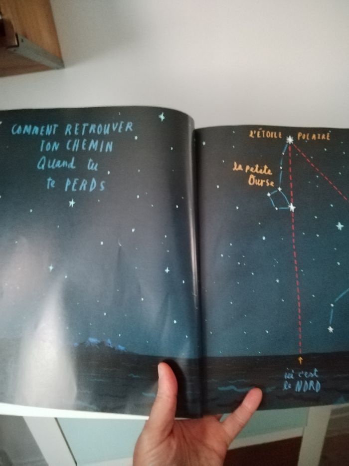 Livre : Nous sommes là " Notes concernant la vie sur la Planète Terre " - photo numéro 4