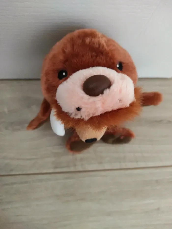 Winnie morse - photo numéro 5