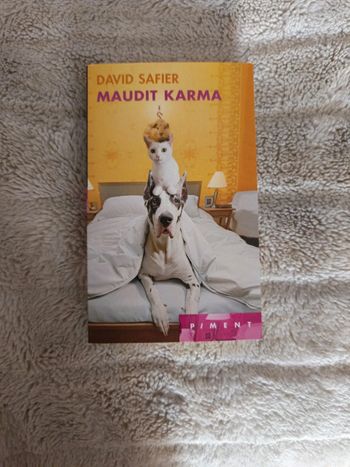 Maudit karma