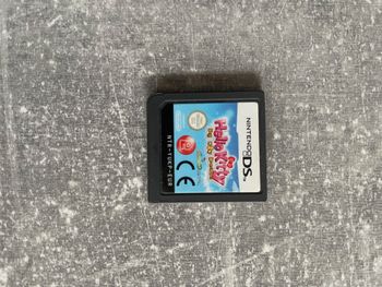 Jeu pour Nintendo DS en loose, Hello kitty Big city dreams en français.