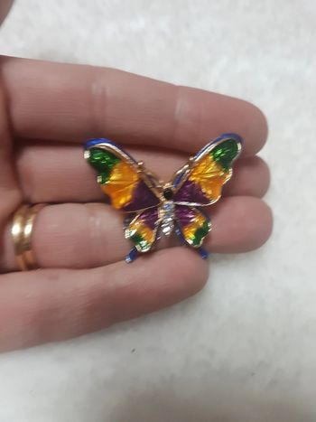 Papillon multicolore