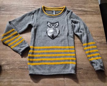 Pull chouette sequins