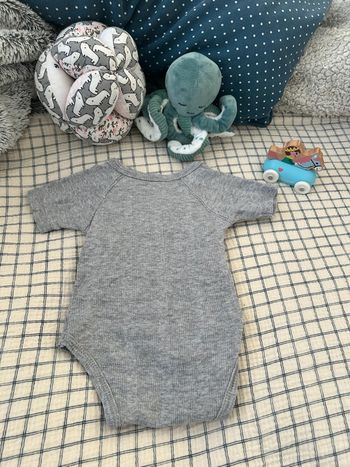 Lot de 2 bodies manches courtes 