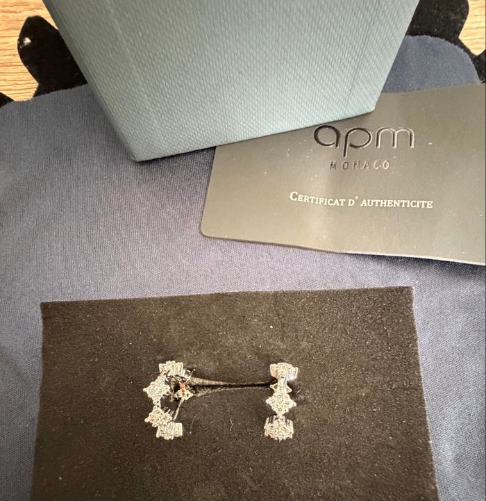 Boucles d’oreilles créole apm Monaco - photo numéro 1