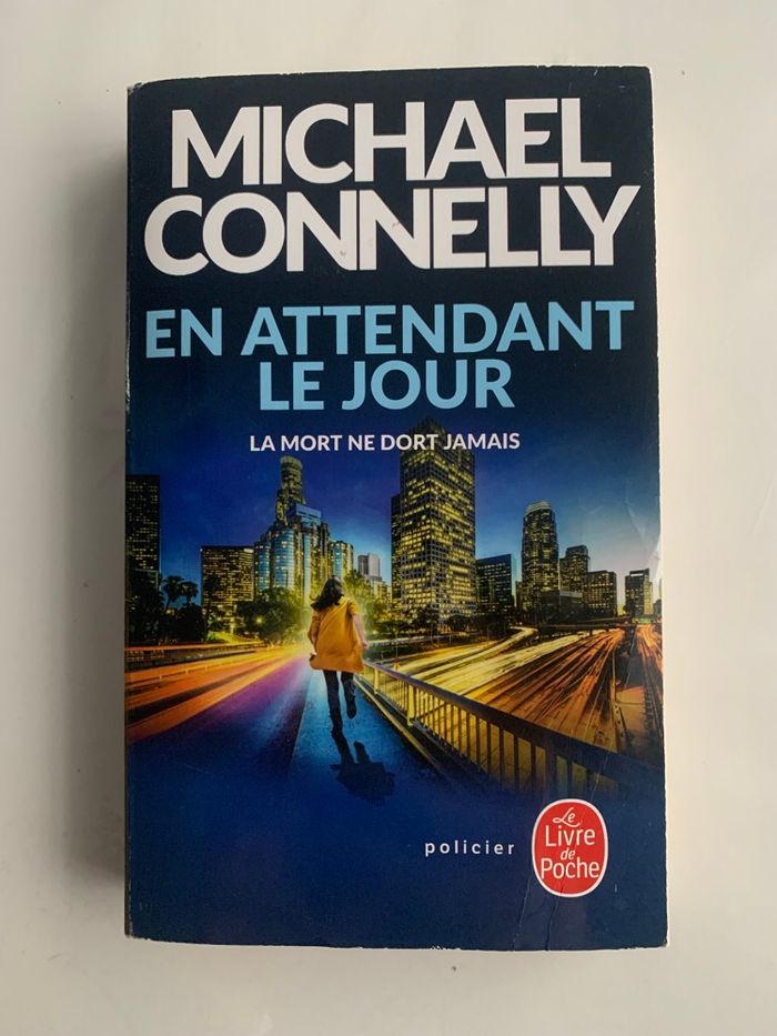 Livre: En attendant le jour
