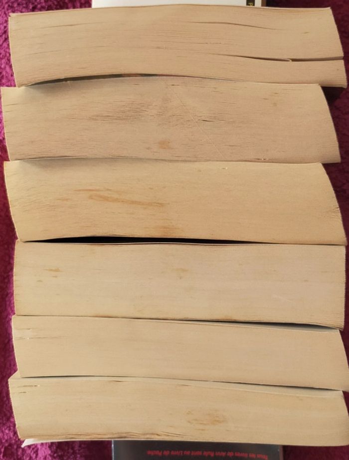 Cycle d'Ogier d'Argouges de Pierre Naudin - photo numéro 4