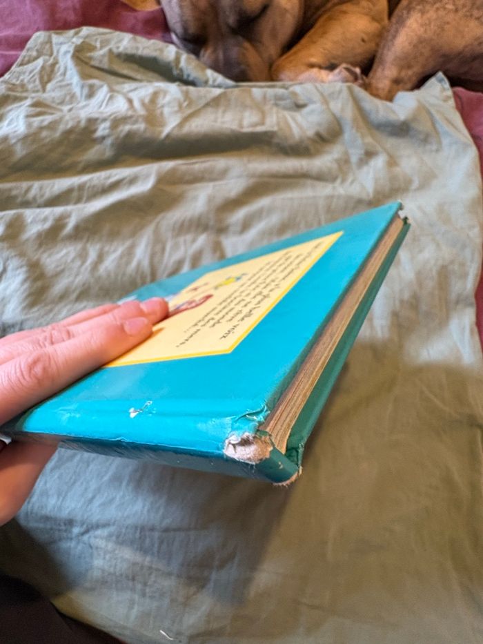 La petite sirène - photo numéro 6