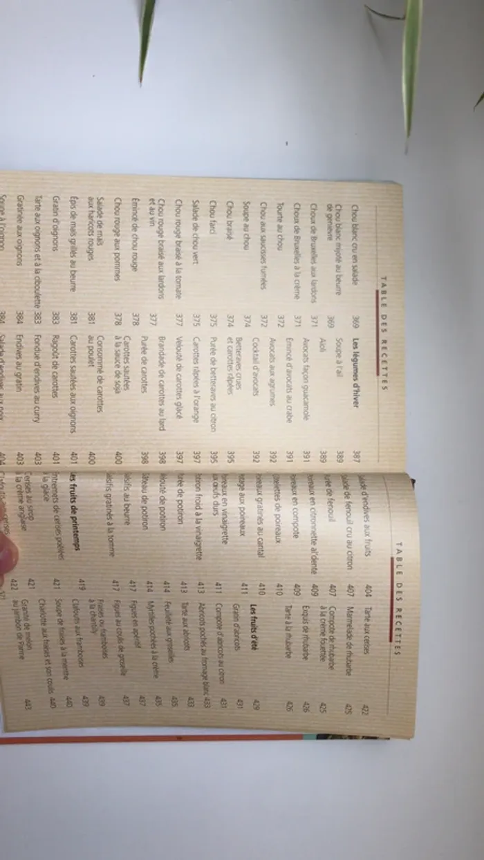 Guide cuisine de tous les jours - photo numéro 6