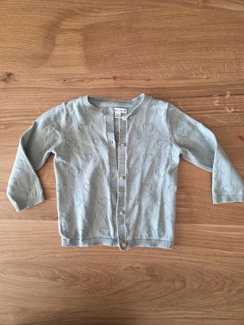 Gilet Vert Baudet
