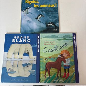 Lot 3 livres enfant