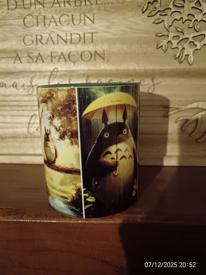 Mug Totoró - photo numéro 6