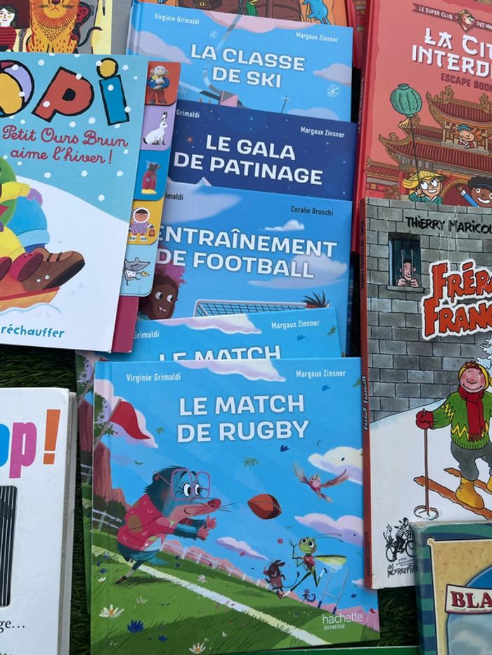 Gros lot de livres divers ( pas de vinted go ) - photo numéro 6