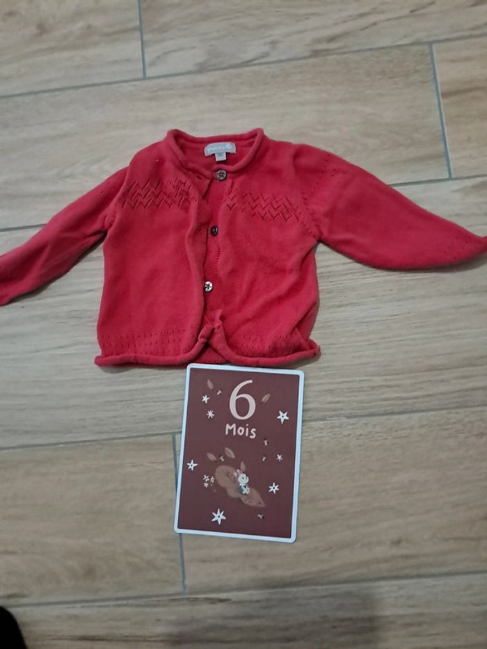 Gilet grain de blé 6 mois - photo numéro 2
