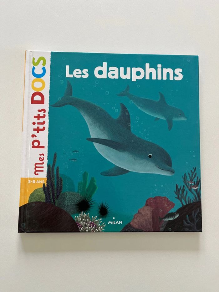 Les p’tits docs Les dauphins