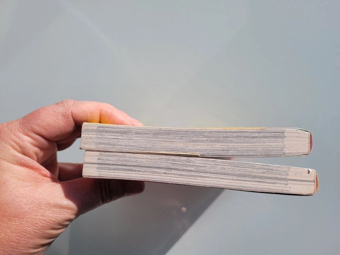 Manga tomes 1 et 2 : 50 Nuances de Gras, l'elfe qui aimait trop les frites 🍟 53 - photo numéro 10