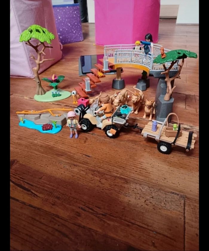 Espace lion Playmobil