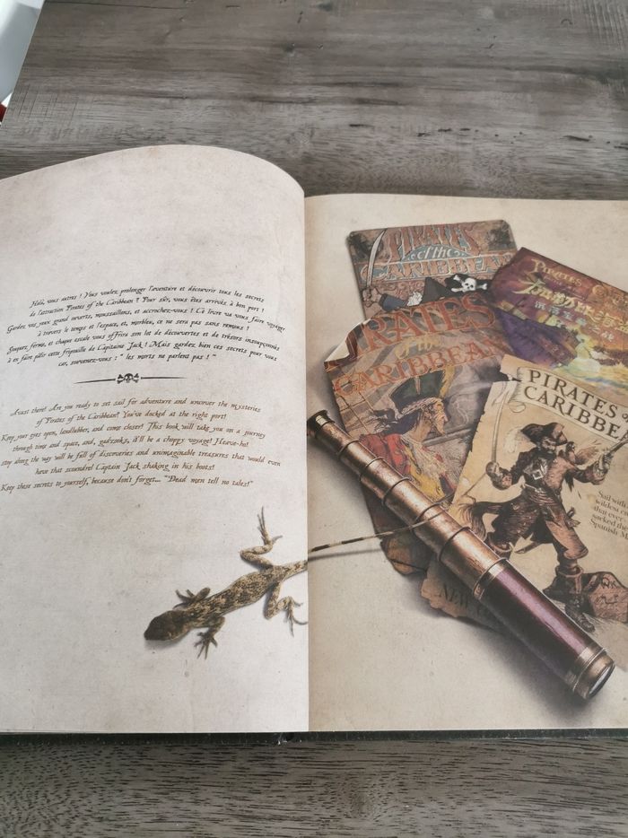 Livre disneyland paris pirates des caraïbes - photo numéro 7