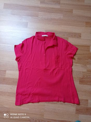TS polo