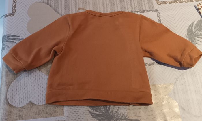 Sweat mixte 🐯 - photo numéro 2