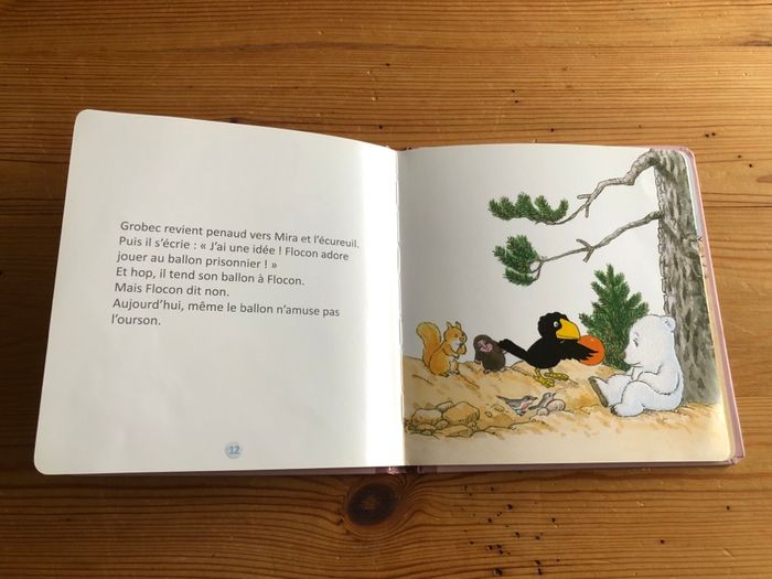 Livre Flocon a du chagrin - photo numéro 3