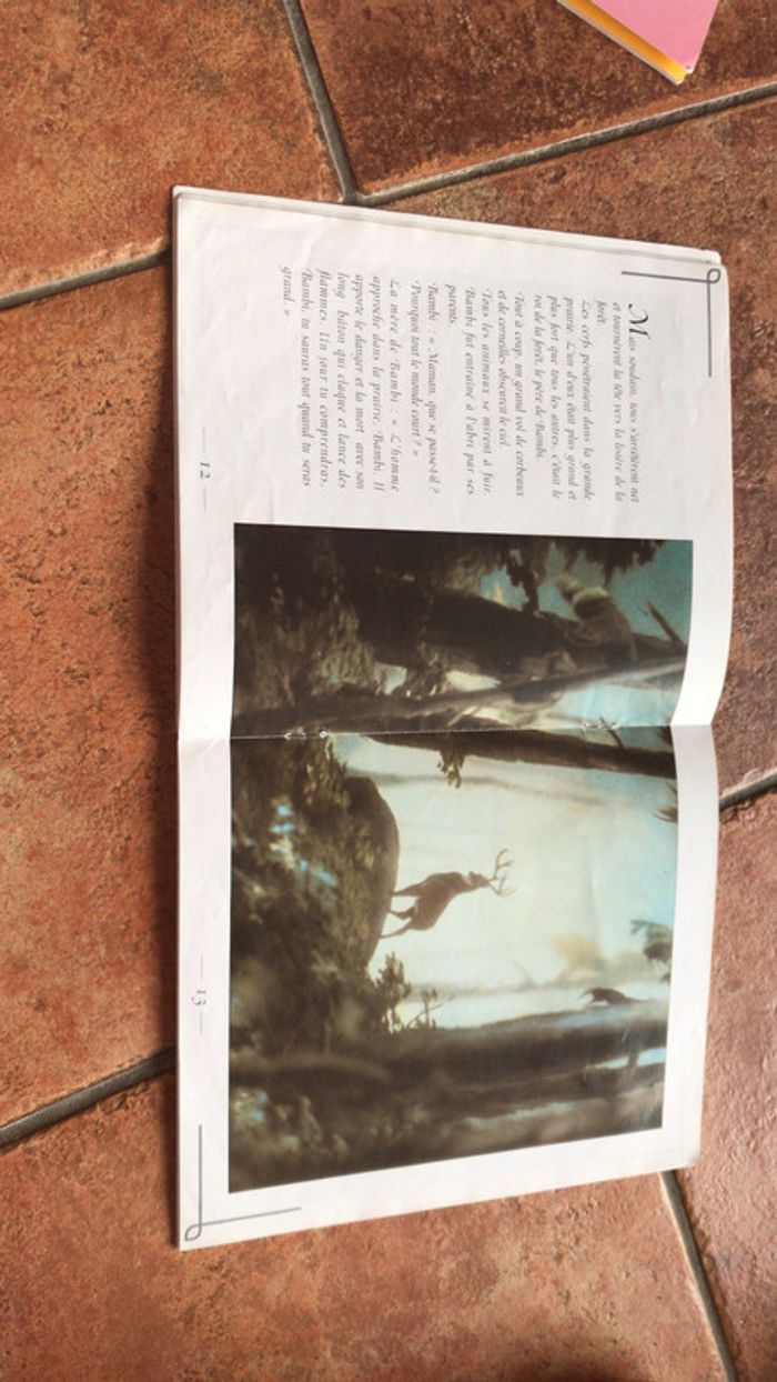 Livre bambi l histoire du film - photo numéro 3