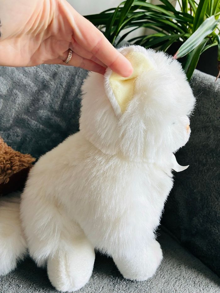 Lot peluches chat - photo numéro 5