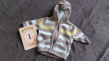 Gilet zippé avec capuche