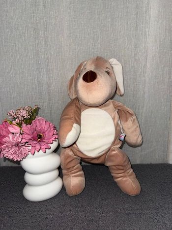 Doudou chien