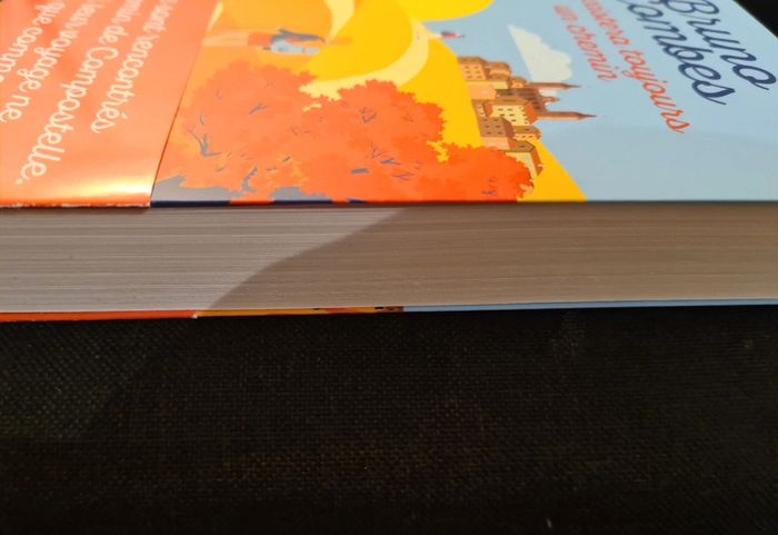 Livre Bruno Combes "Il existera toujours un chemin" - photo numéro 3