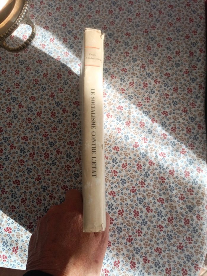 Le Socialisme contre l'Etat - photo numéro 5