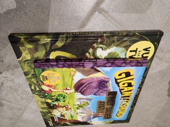 Lot de 2 livres enfant : Gigantosaurus