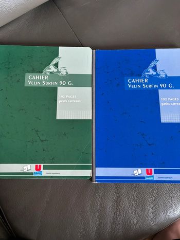 Lot de 2 cahiers grands format Petits carreaux 90 grammes
