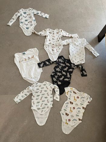 lot de 7 body