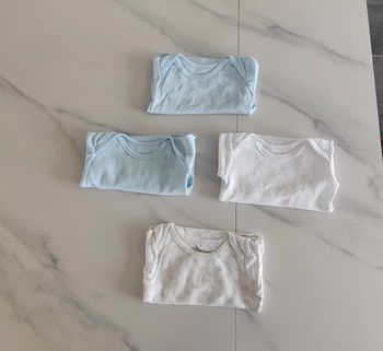 Bodies manches courtes