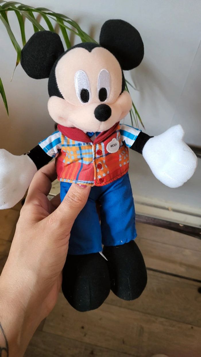 Mickey Cast Member - photo numéro 2