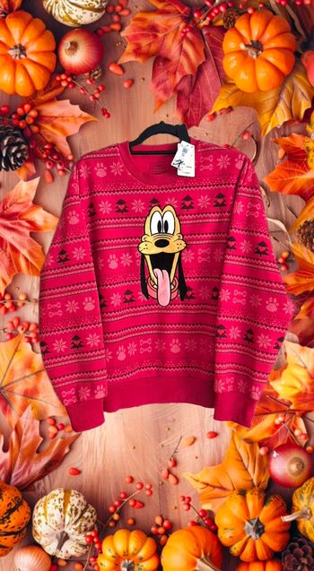 Pull undiz disney pluto taille S neuf