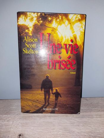 Livre une vie brisée