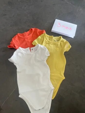 Lot 3 bodies