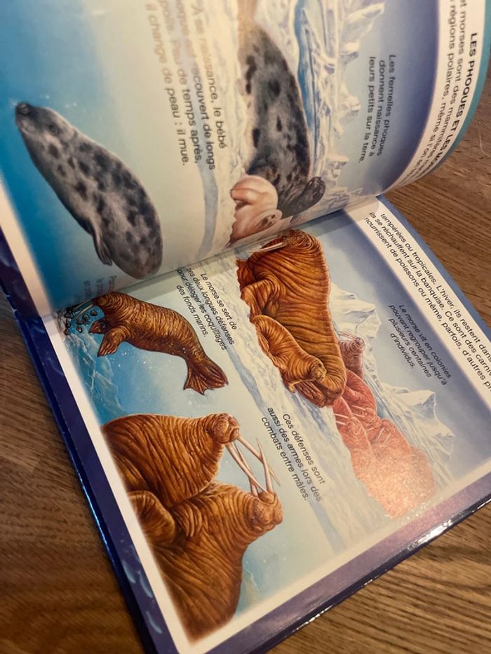 Livre Fleurus L’imagerie de la mer - photo numéro 7