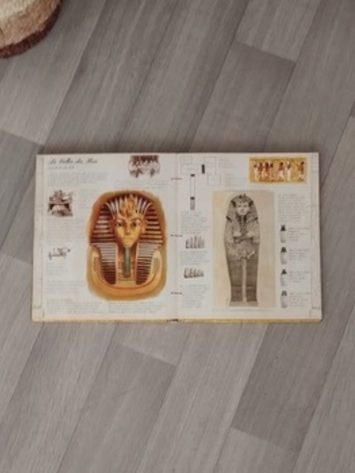 Livre Egyptologie élégante édition illustrée avec pop up - 7647007279 - photo numéro 7