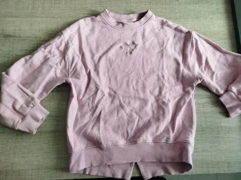 Sweat rose Zara 10 ans