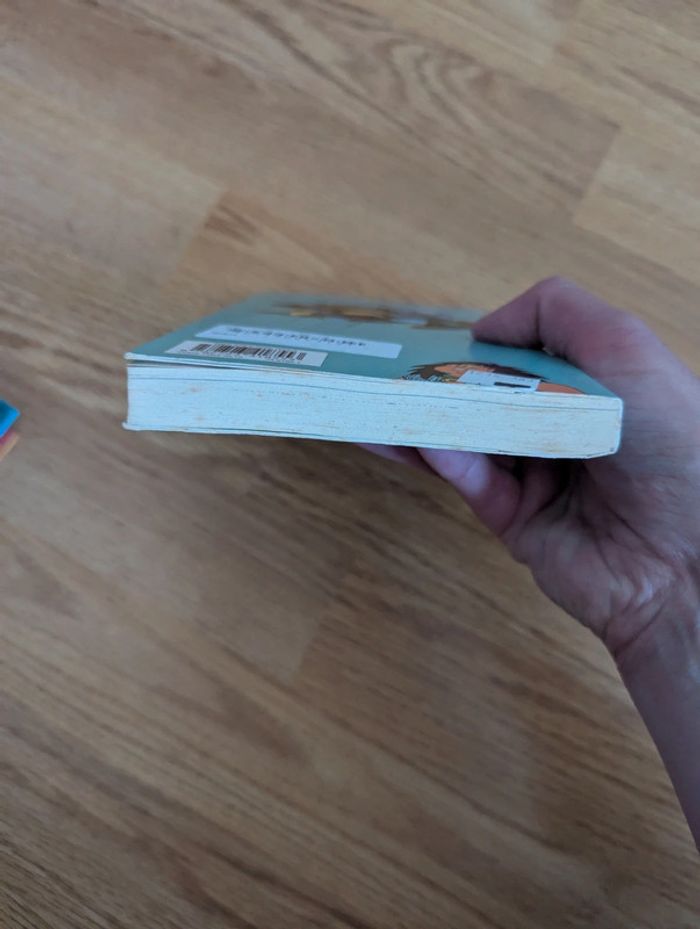 Livre dragonball édition pastel n°12 - photo numéro 5