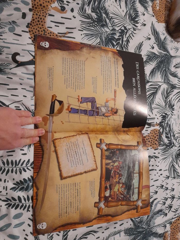 Barbe-Noire et les pirates des caraïbes - photo numéro 8