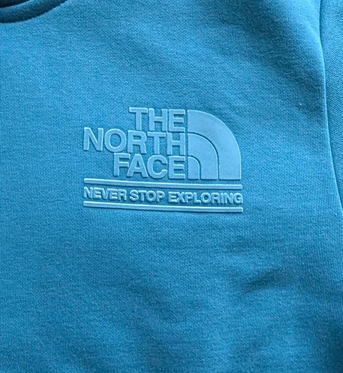 Sweet a capuche the North face homme bleu - photo numéro 3