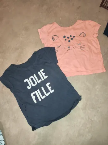 Tee shirts divers taille 24 mois