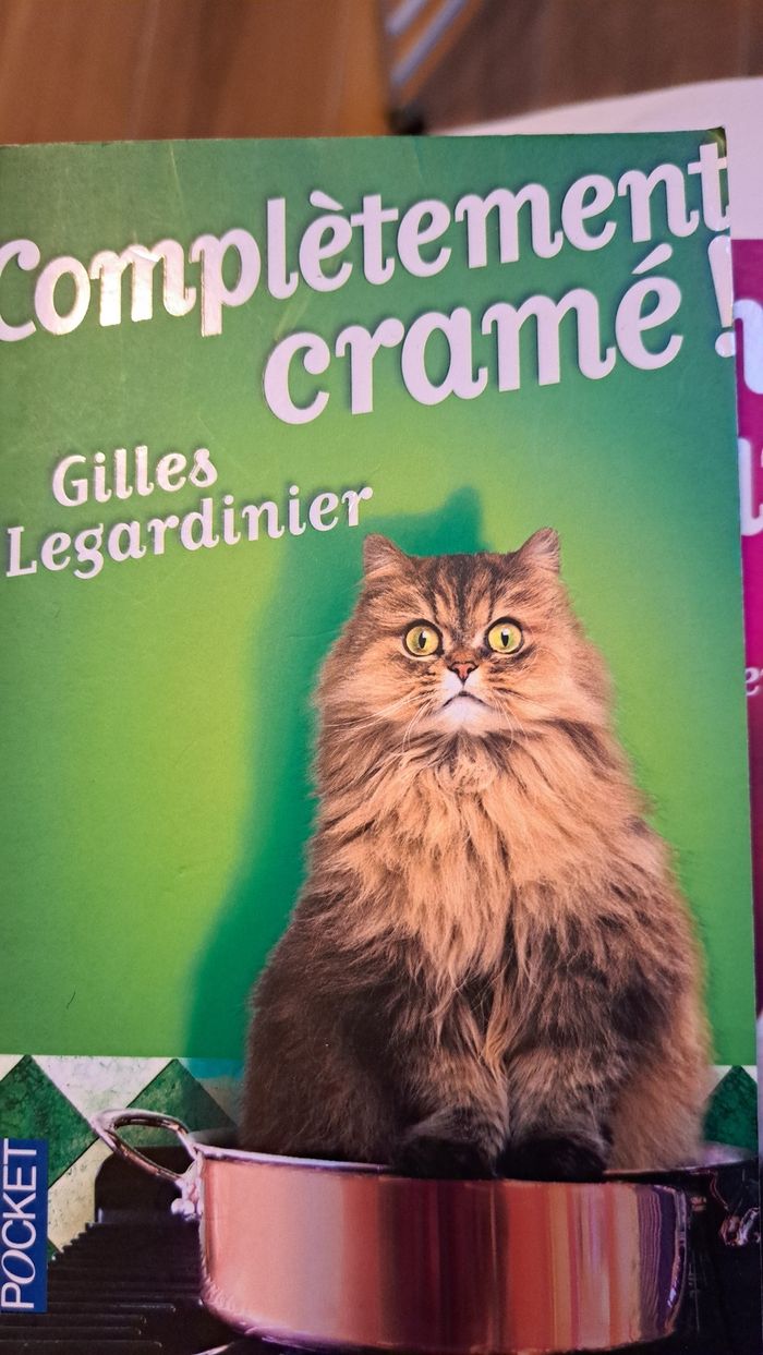 Lot de 3 livres - photo numéro 6