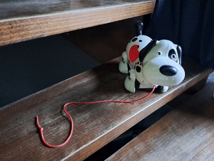 Chien a tiré avec son et lumiere - photo numéro 5