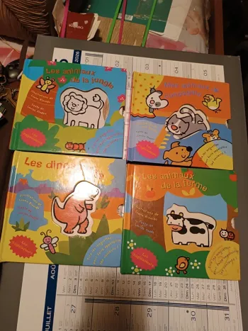 Livre les magicouleurs